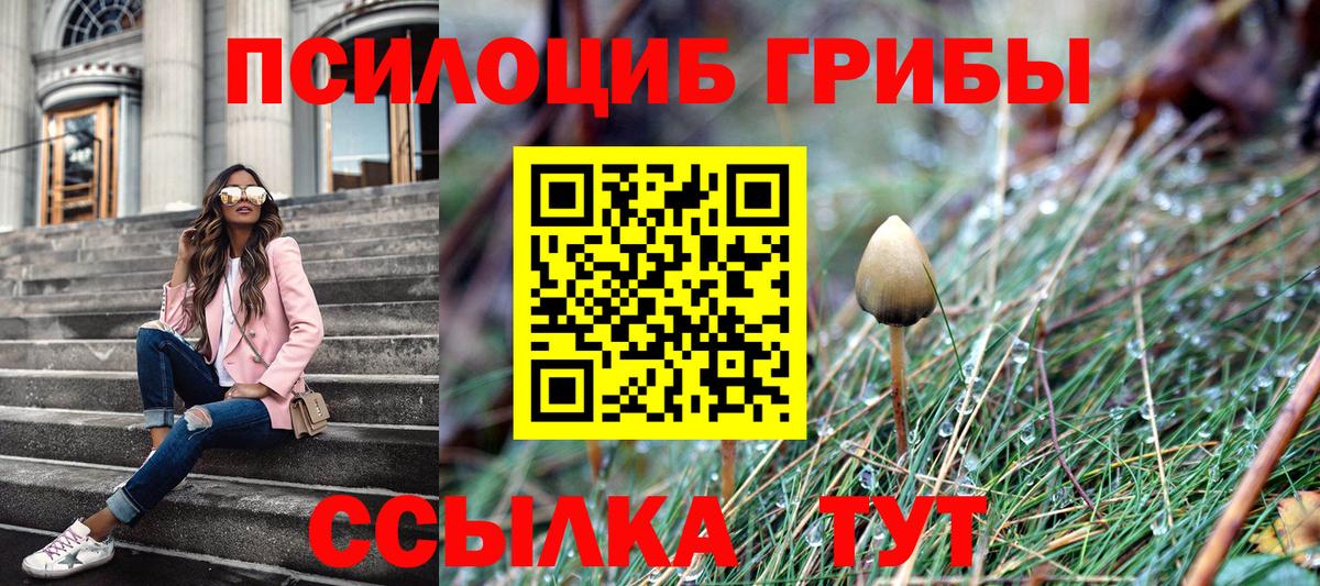 Фурманов  Галлюциногенные грибы прущие грибы  Вход с VPN  как найти наркотики  Псилоцибиновые грибы GOLDEN TEACHER 